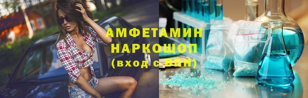 молекула духа Богородицк