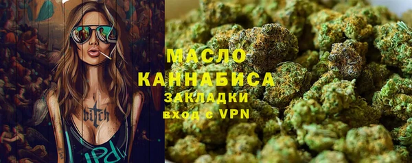 молекула духа Богородицк