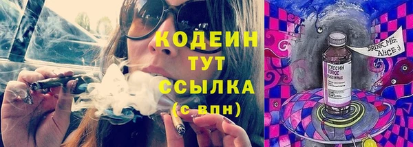 молекула духа Богородицк