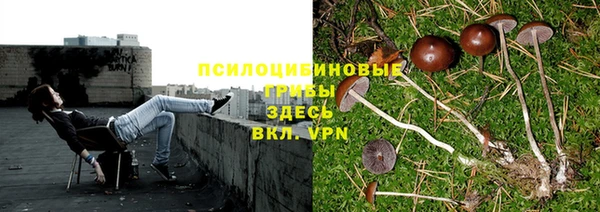 COCAINE Богданович