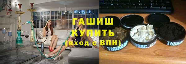 молекула духа Богородицк