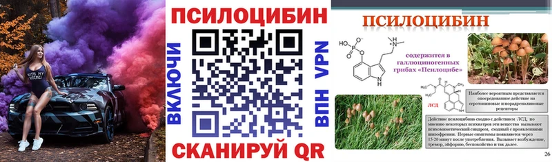 как найти наркотики Афипский Галлюциногенные грибы прущие грибы